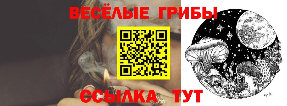 Псилоцибиновые грибы мухоморы  Вход с VPN  Псилоцибиновые грибы GOLDEN TEACHER  Кропоткин 